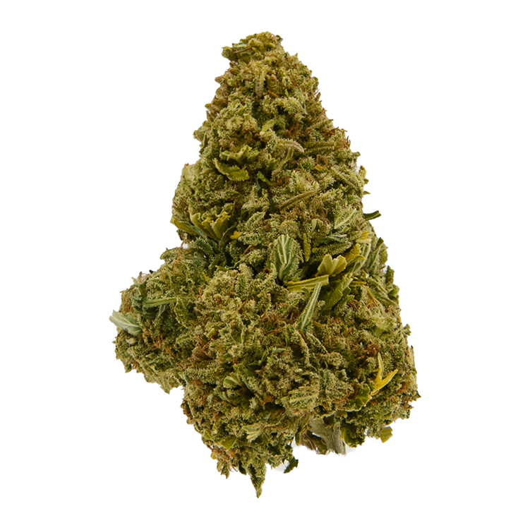 Signature - GDP (I) - 28g